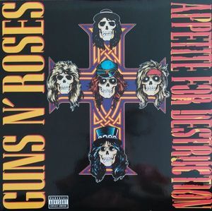 Appetite For Destruction cover