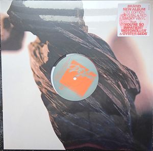 The Night The Zombies Came cover