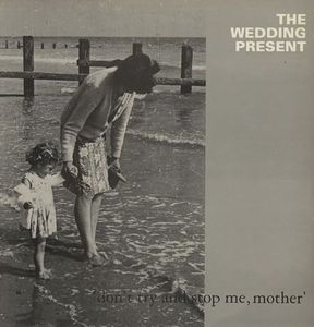 'Don't Try And Stop Me, Mother' cover