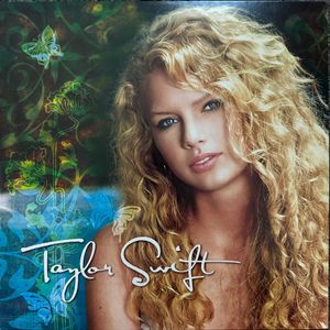 Taylor Swift cover