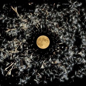 All Of This Is Chance cover