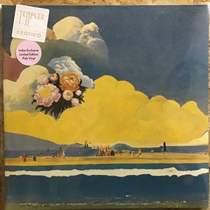 Exotico cover