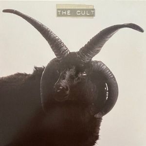 The Cult cover