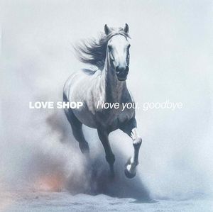 I Love You, Goodbye cover