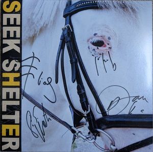 Iceage – Seek Shelter