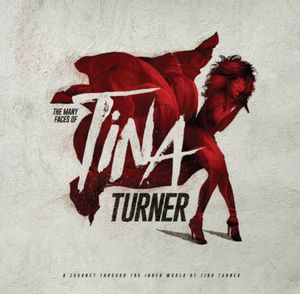 Various – The Many Faces Of Tina Turner