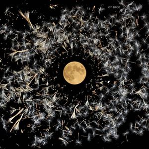 All Of This Is Chance by Lisa O'Neill