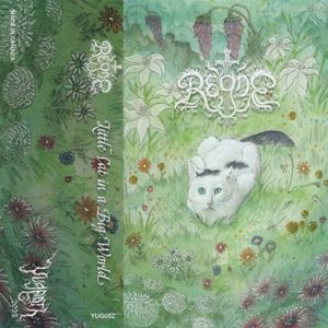 Little Cat In A Big World cover