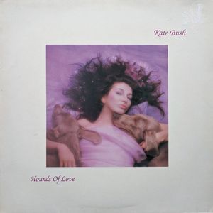 Hounds Of Love cover