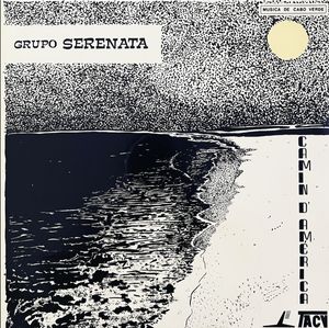 Camin D'América cover