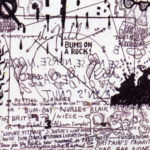 Bums On A Rock! cover