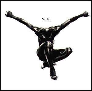 Seal cover