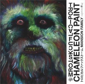 Chameleon Paint cover
