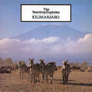 Kilimanjaro cover