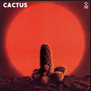 Cactus cover