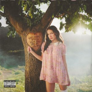 You Seem Pretty Sad For A Girl So In Love by Olivia Rodrigo