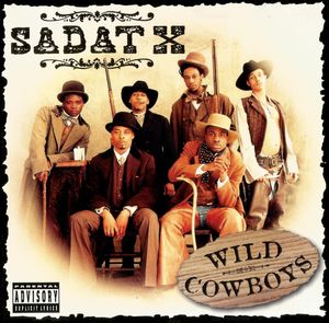 Wild Cowboys cover