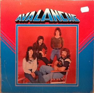Avalanche cover