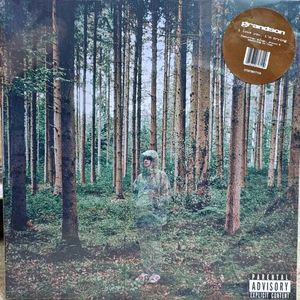 I Love You, I'm Trying cover