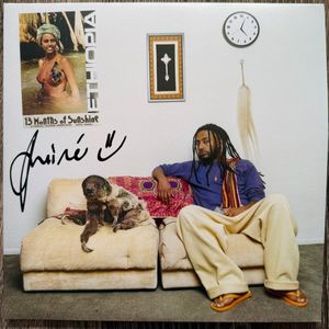 13 Months Of Sunshine cover