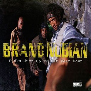 Punks Jump Up To Get Beat Down cover