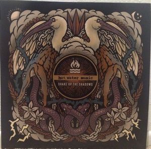 Shake Up The Shadows cover