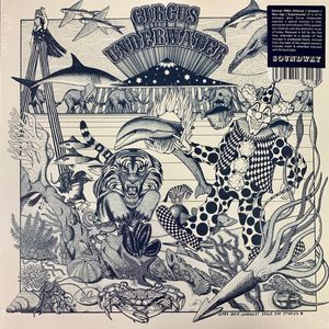 Circus Underwater cover