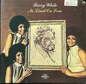 No Limit On Love cover