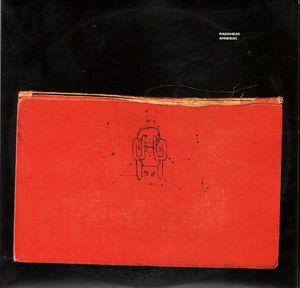 Amnesiac cover