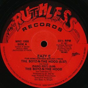 The Boyz-N-The Hood cover