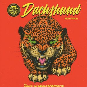 Night Vision (Mihai Popoviciu Remix) cover