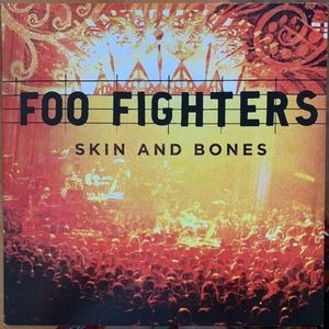 Skin And Bones by Foo Fighters