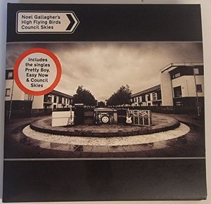 Council Skies cover