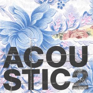 Various – Acoustic 2
