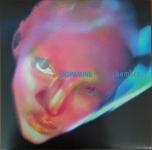 Dopamine Chamber by Fontaines D.C.