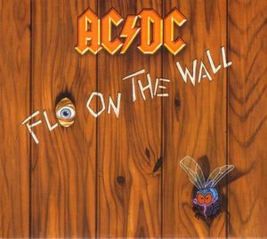 Fly On The Wall cover