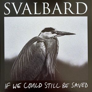 If We Could Still Be Saved by Svalbard