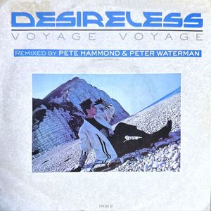 Voyage Voyage (Remixed By Pete Hammond & Peter Waterman) by Desireless