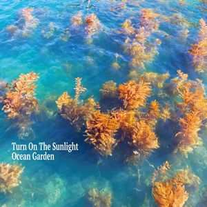 Turn On The Sunlight – Ocean Garden