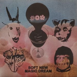 Soft New Magic Dream cover