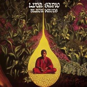 Black Waves by Luca Sapio