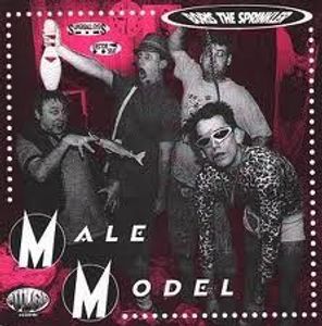 Male Model cover
