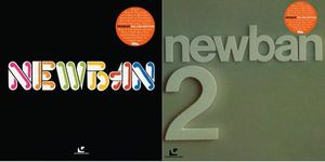 Newban & Newban 2  cover
