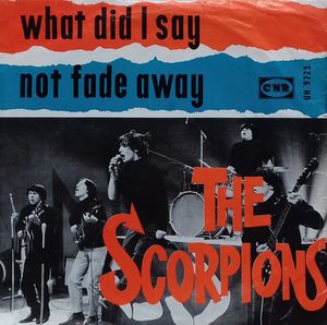 What Did I Say / Not Fade Away cover