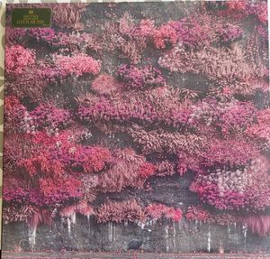 Even In Arcadia  cover