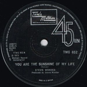 You Are The Sunshine Of My Life cover