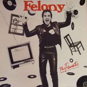 The Fanatic cover