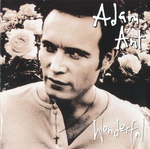 Wonderful by Adam Ant