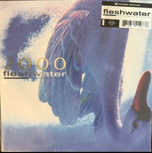 2000: In Search Of Endless Sky cover