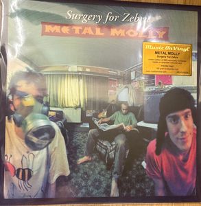 Metal Molly – Surgery For Zebra